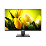 Monitorid